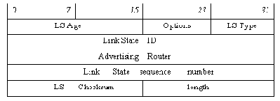  LSA
